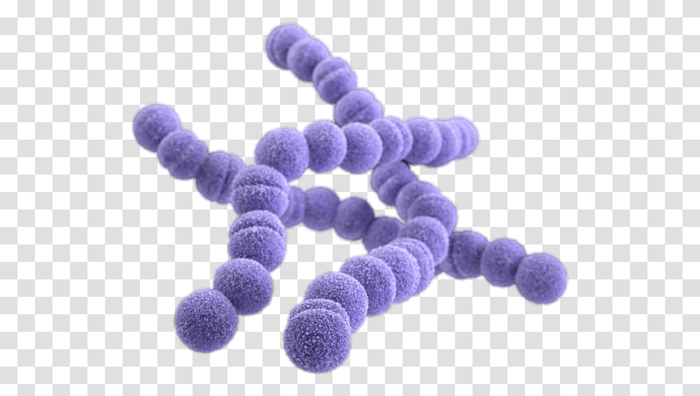 Flesh Eating Bacteria E Coli Background, Purple, Pattern, Fractal, Ornament Transparent Png
