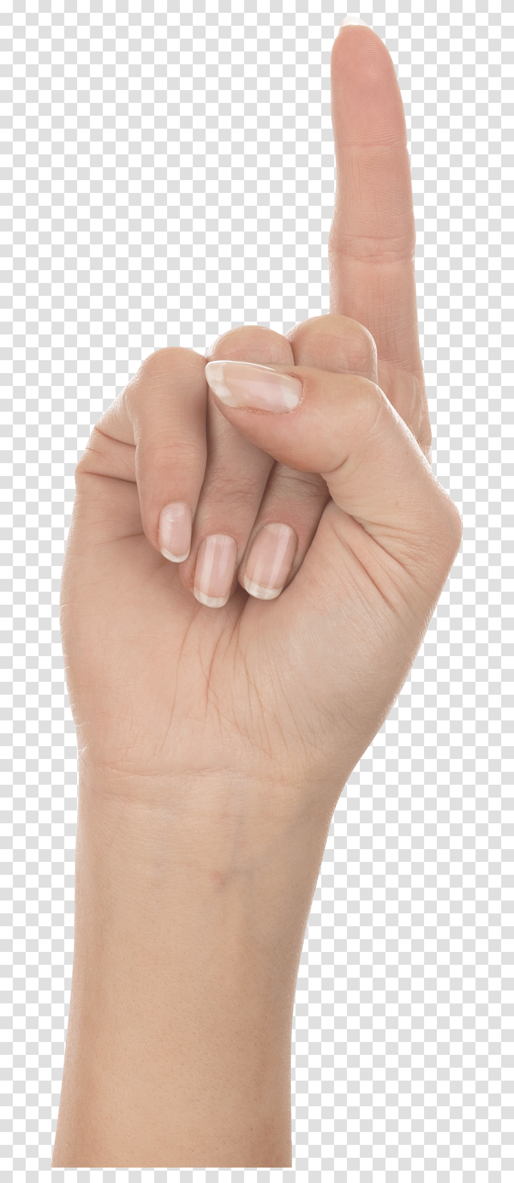Flesh Hand One Finger, Person, Human, Wrist, Skin Transparent Png