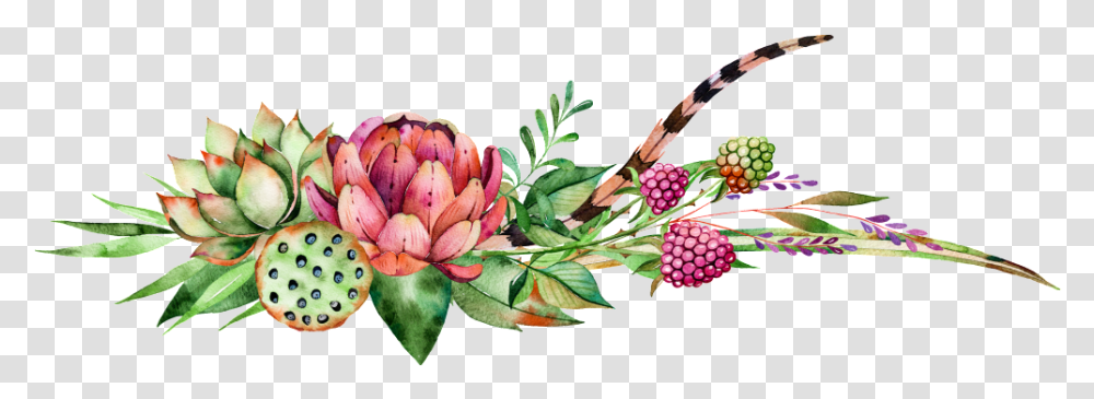 Fleshy Berries Lotus Watercolor Hd Watercolor Painting, Plant, Dahlia, Flower, Food Transparent Png
