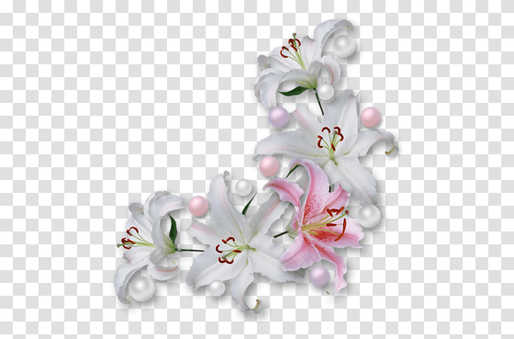Fleur De Lis Border White Flower Corner, Plant, Blossom, Lily, Anther Transparent Png