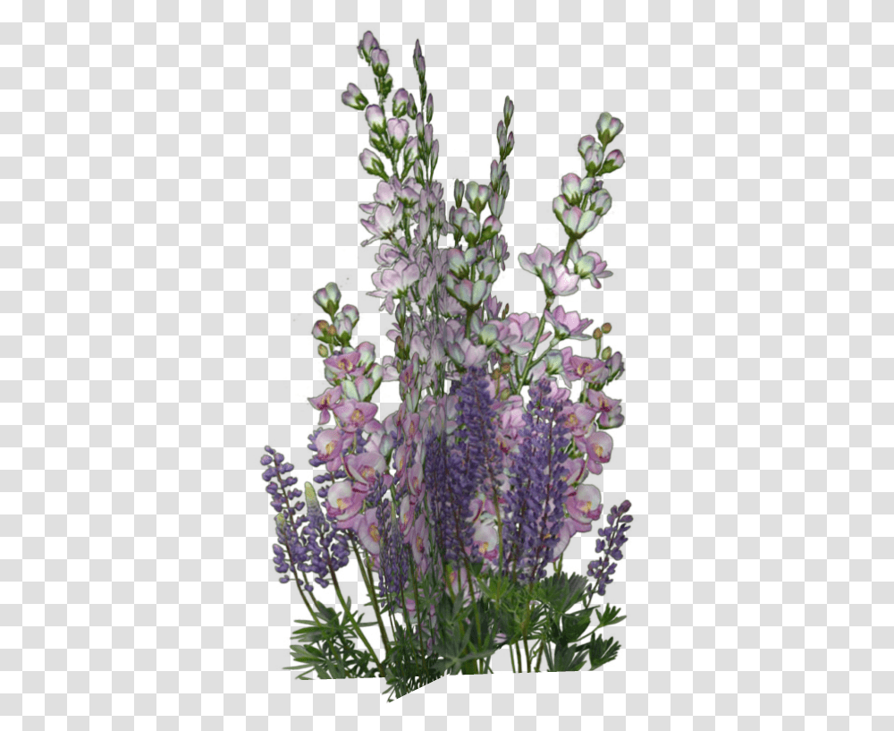 Fleurs Flores Flowers Bloemen Flower, Plant, Blossom, Lavender, Lilac Transparent Png