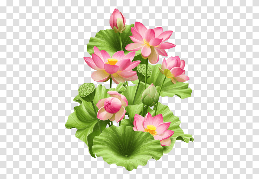 Fleurs, Plant, Flower, Blossom, Petal Transparent Png