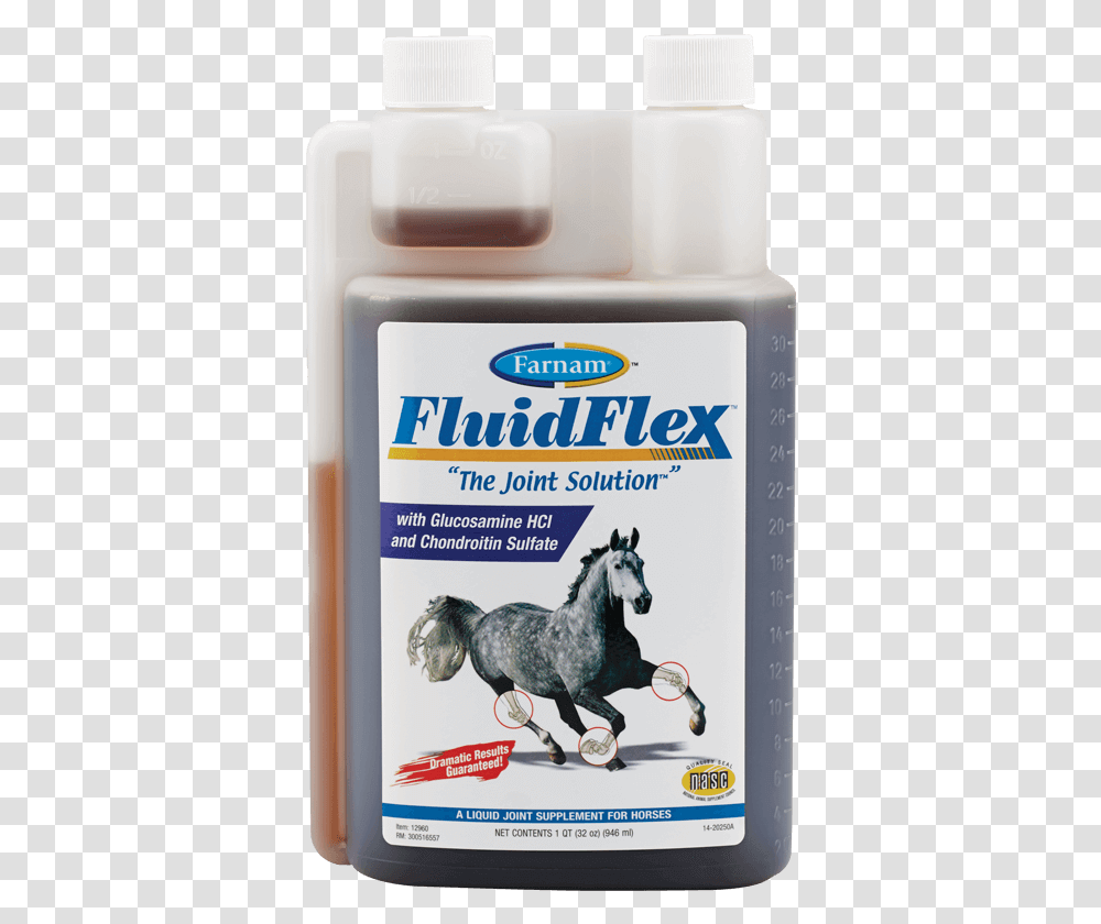 Flex Fluid, Horse, Mammal, Animal, Refrigerator Transparent Png