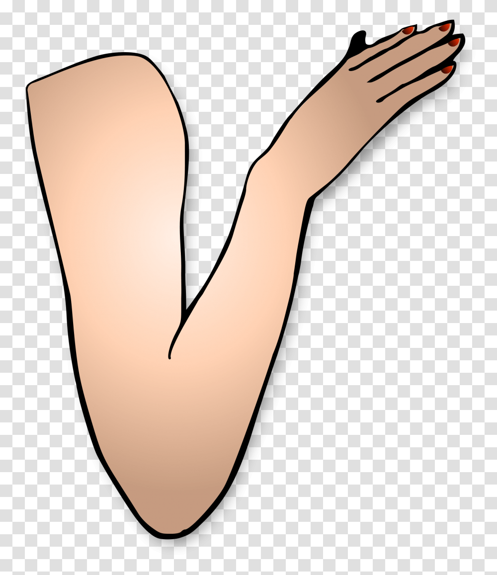 Flexing Arm Clipart Free Images, Hand, Wrist, Skin Transparent Png
