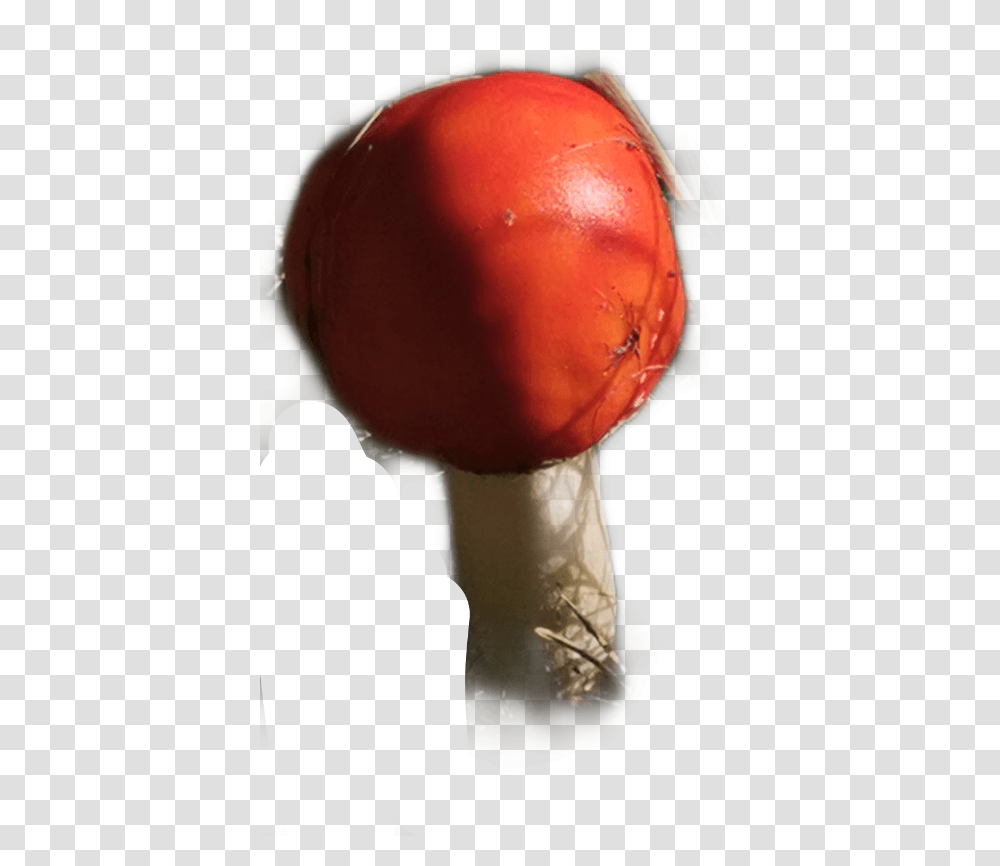 Fliegenpilz Pilze Freetoedit Tomato, Plant, Helmet, Apparel Transparent Png