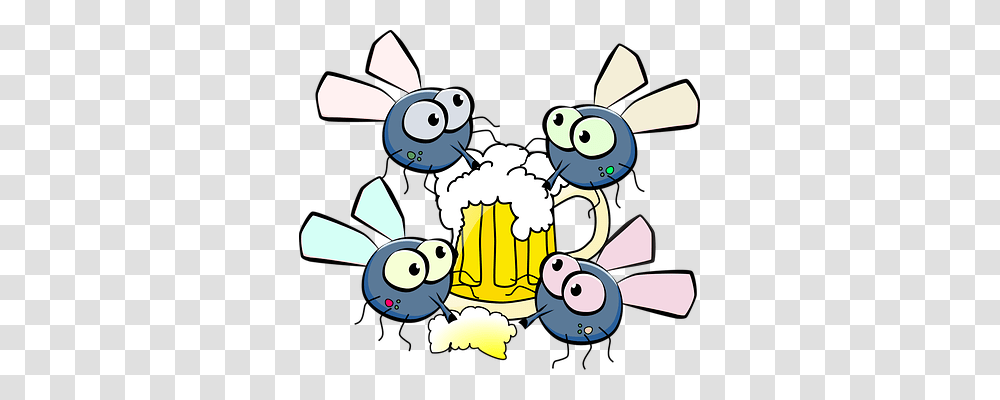 Flies Food, Photography Transparent Png