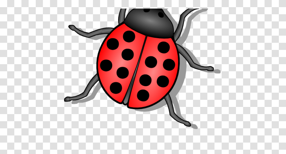 Flies Clipart, Animal, Invertebrate, Insect, Toy Transparent Png