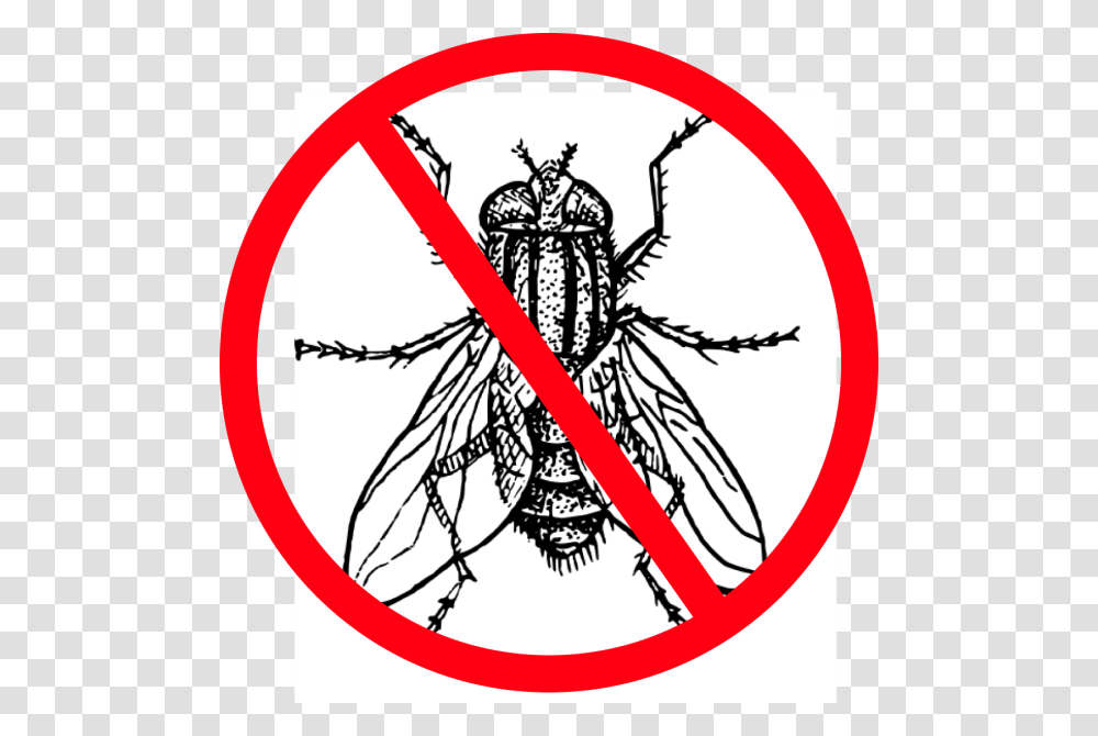 Flies Clipart Harmful Insect Fly Clipart Black And White, Invertebrate, Animal, Flea Transparent Png