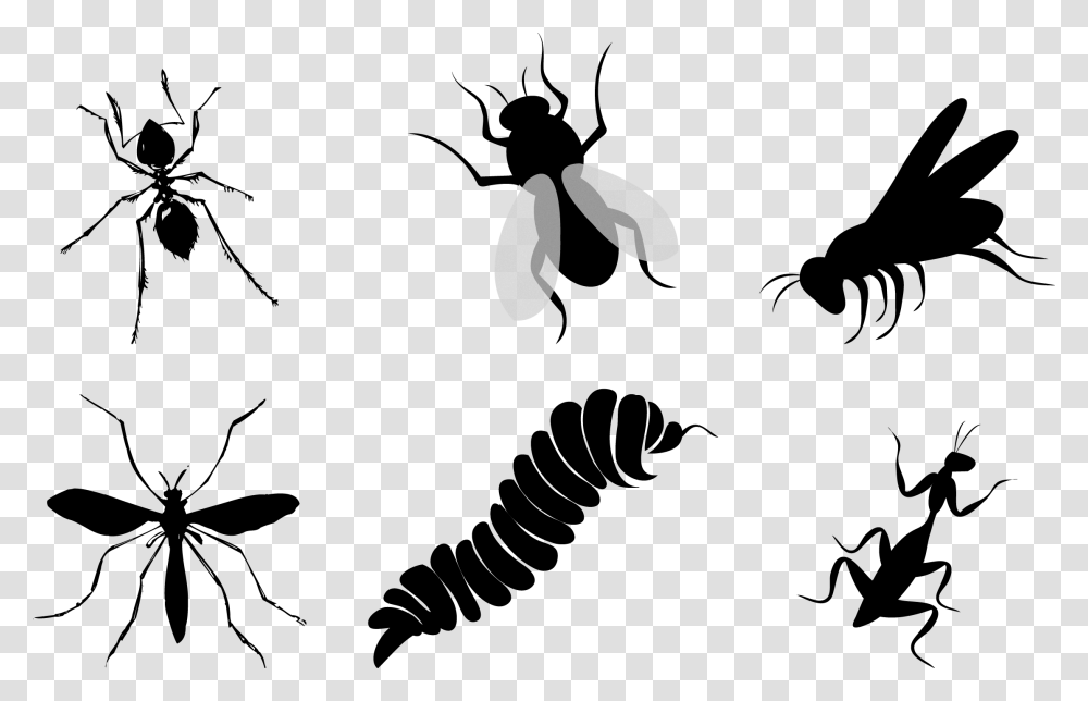 Flies Clipart Insect Wing Insects Silhouette, Animal, Invertebrate, Stencil, Spider Transparent Png