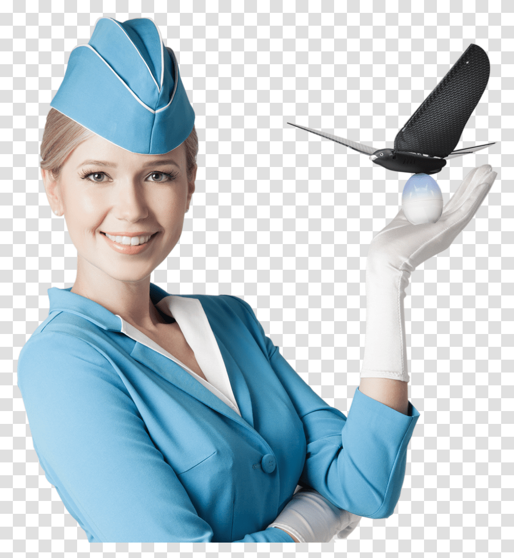 Flight Attendants In Backgrounds, Person, Human, Graduation, Doctor Transparent Png