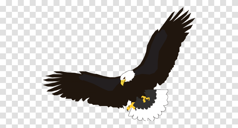 Flight Clipart Clip Art, Eagle, Bird, Animal, Bald Eagle Transparent Png