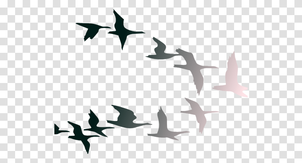 Flight Clipart Clip Art, Flying, Bird, Animal, Flock Transparent Png