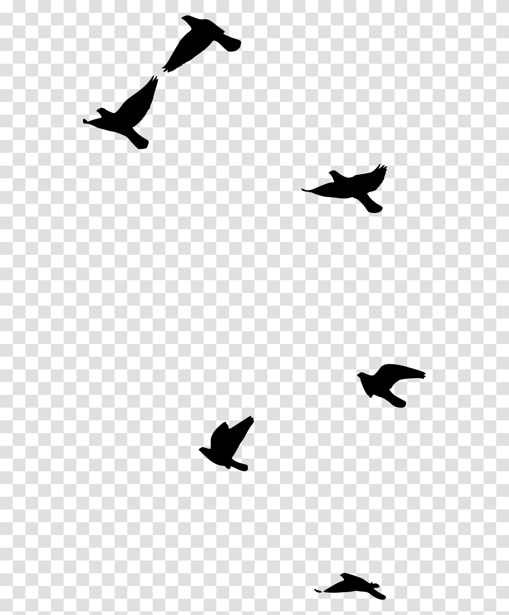 Flight, Gray, World Of Warcraft Transparent Png