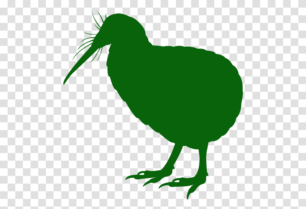 Flightless Bird, Animal, Kiwi Bird, Person, Human Transparent Png