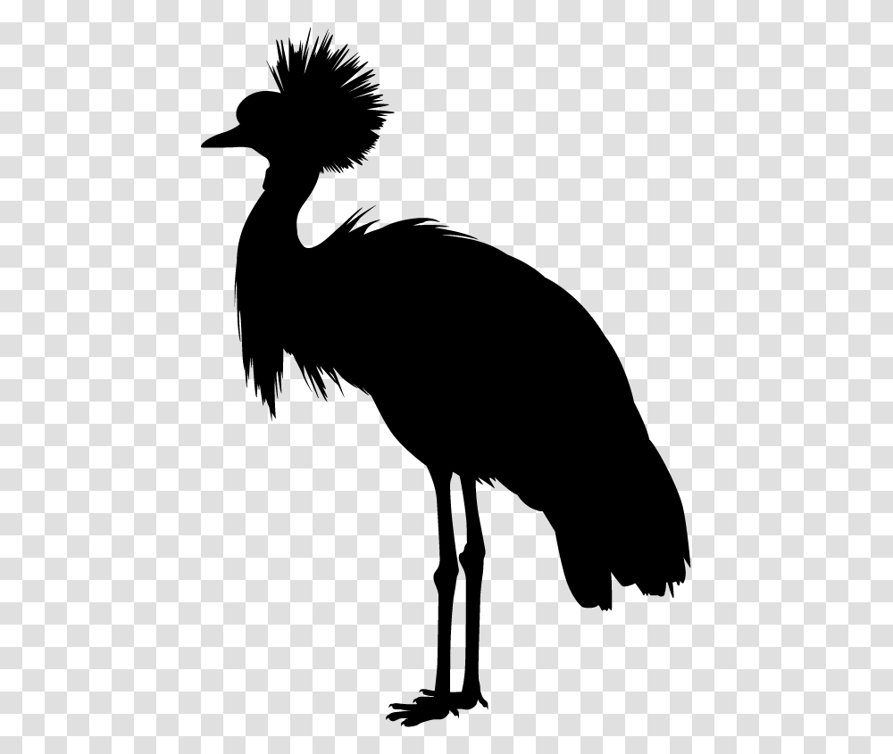 Flightless Bird, Animal, Silhouette, Crane Bird Transparent Png
