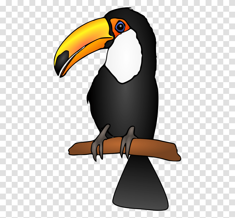 Flightless Birdbirdtoucan Toucan Clipart, Animal, Beak Transparent Png