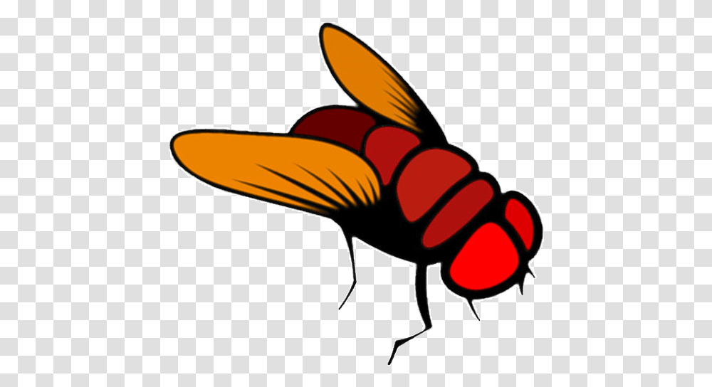 Flightless Fruit Flies Hydei Cartoon Fly No Background, Insect, Invertebrate, Animal, Wasp Transparent Png