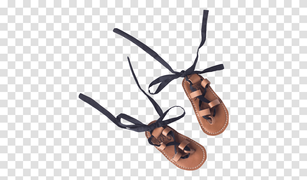 Flip Flops, Apparel, Bow, Insect Transparent Png