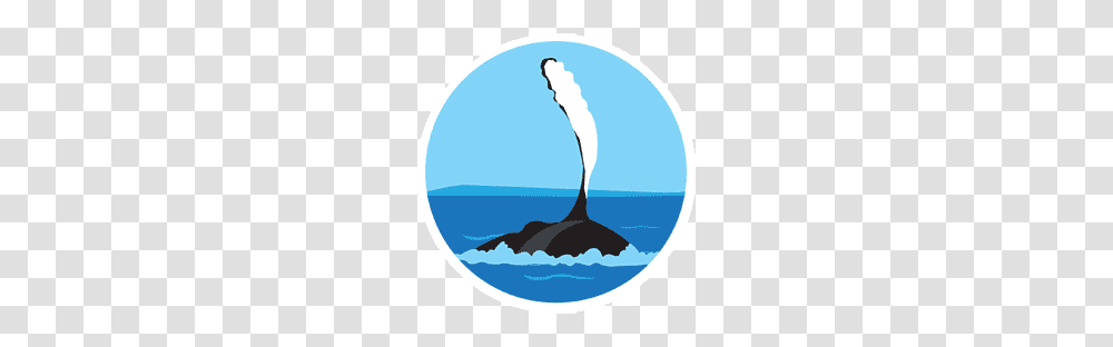 Flippers Clipart Whale Dolphin, Sea Life, Animal, Mammal Transparent Png