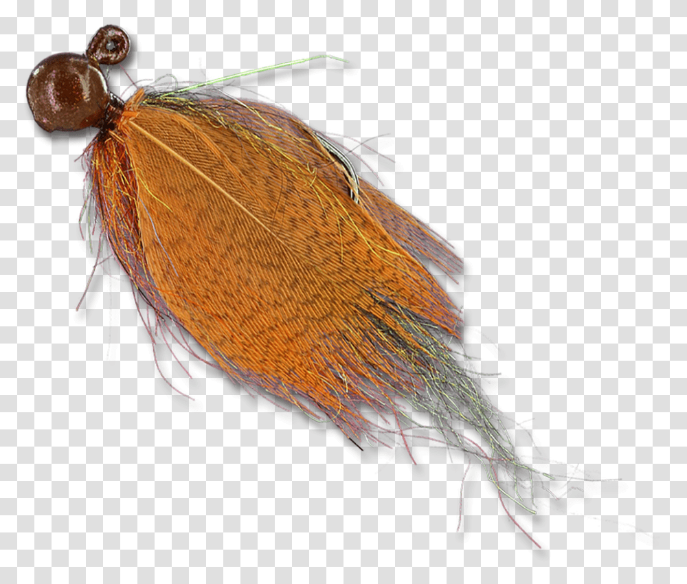 Float N Flies Insect, Invertebrate, Animal, Bird Transparent Png