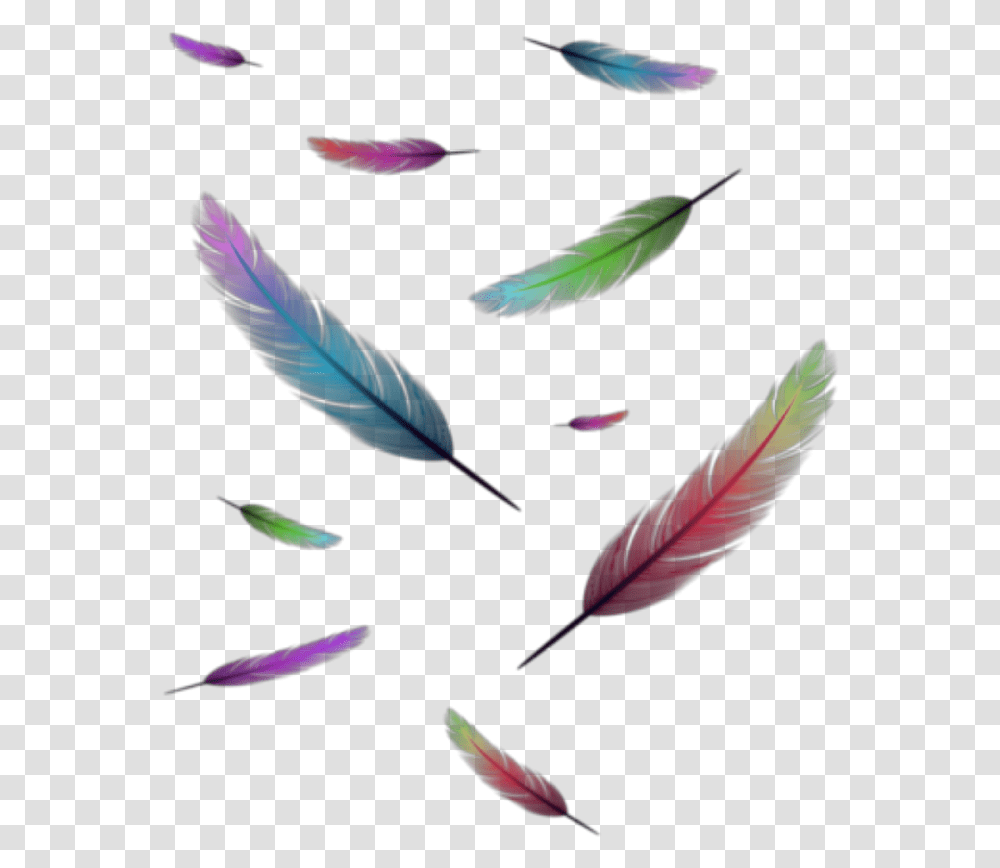 Floating Feathers Floating Colourful Feather, Leaf, Plant, Pattern, Flower Transparent Png