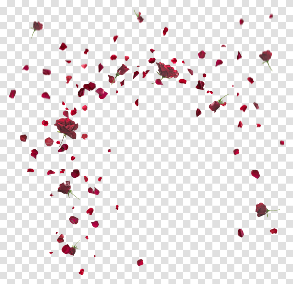 Floating Flower Crop, Confetti, Paper Transparent Png