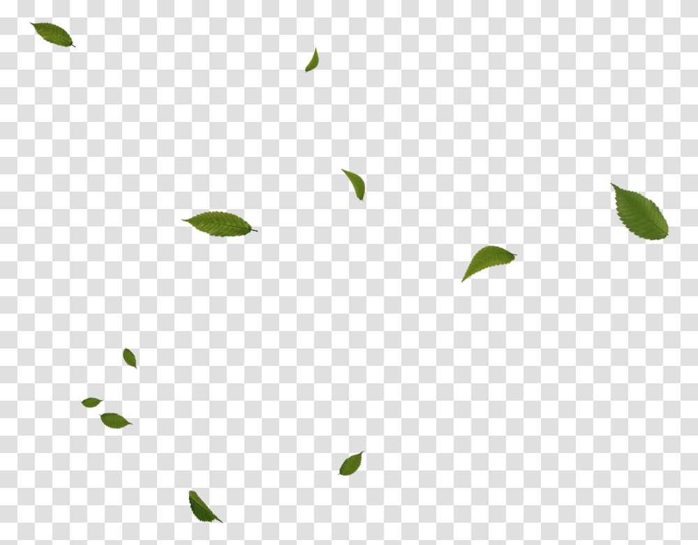 Floating Green Leaves Download Green Effects, Leaf, Plant, Paper, Animal Transparent Png