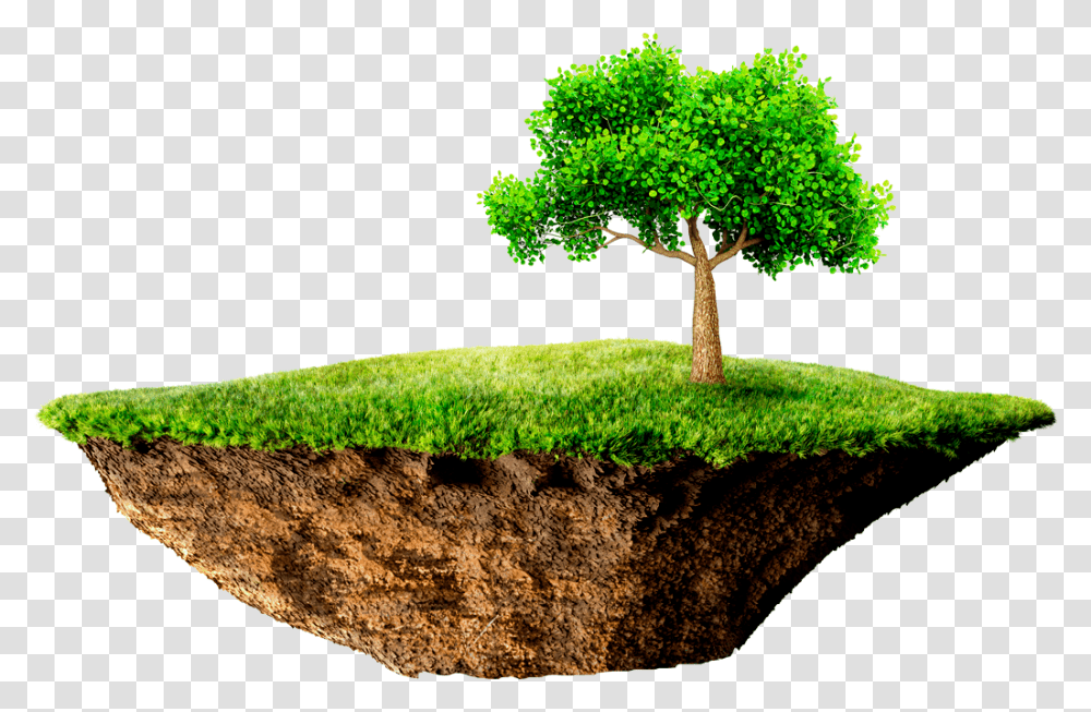 Floating Island, Plant, Tree, Grass, Green Transparent Png
