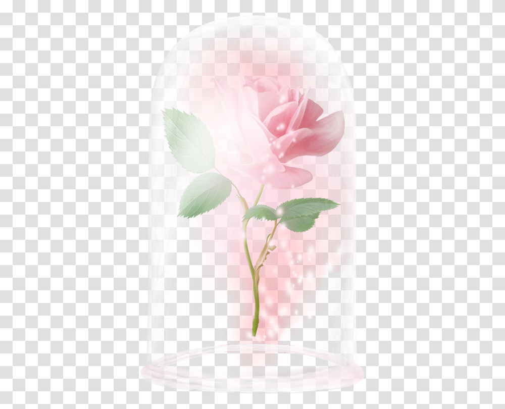 Floating Rose Beauty And The Beast Rose Enchanted Rose, Plant, Petal Transparent Png