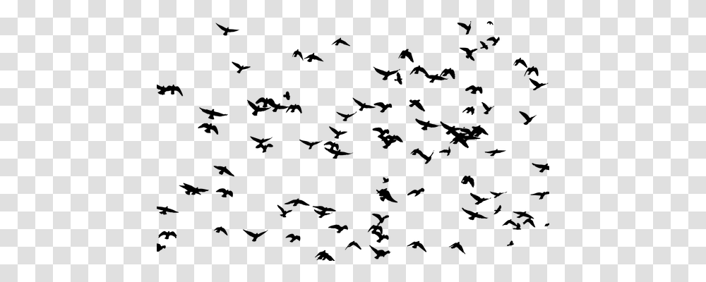 Flock Animals, Gray, World Of Warcraft Transparent Png