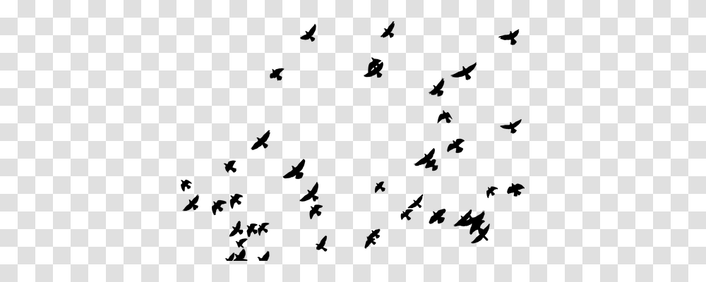 Flock Animals, Gray, World Of Warcraft Transparent Png