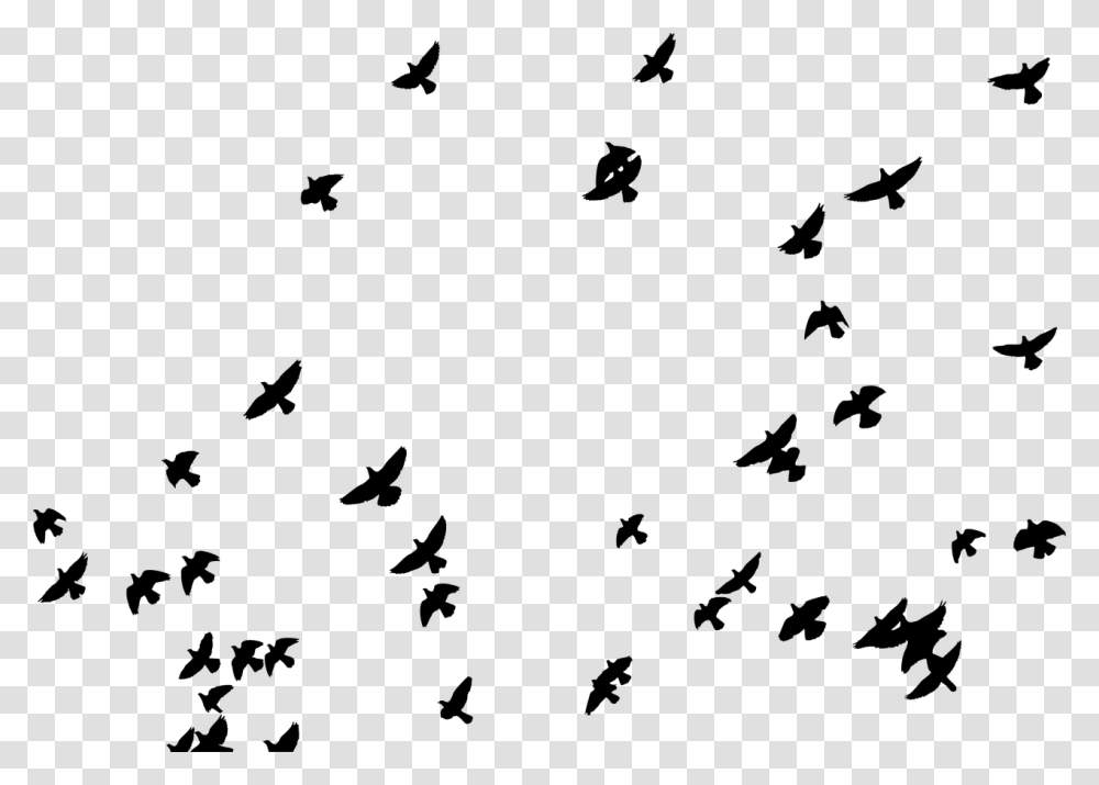 Flock Birds Animals Pigeons Flying Silhouette Picsart Sticker, Gray, World Of Warcraft Transparent Png
