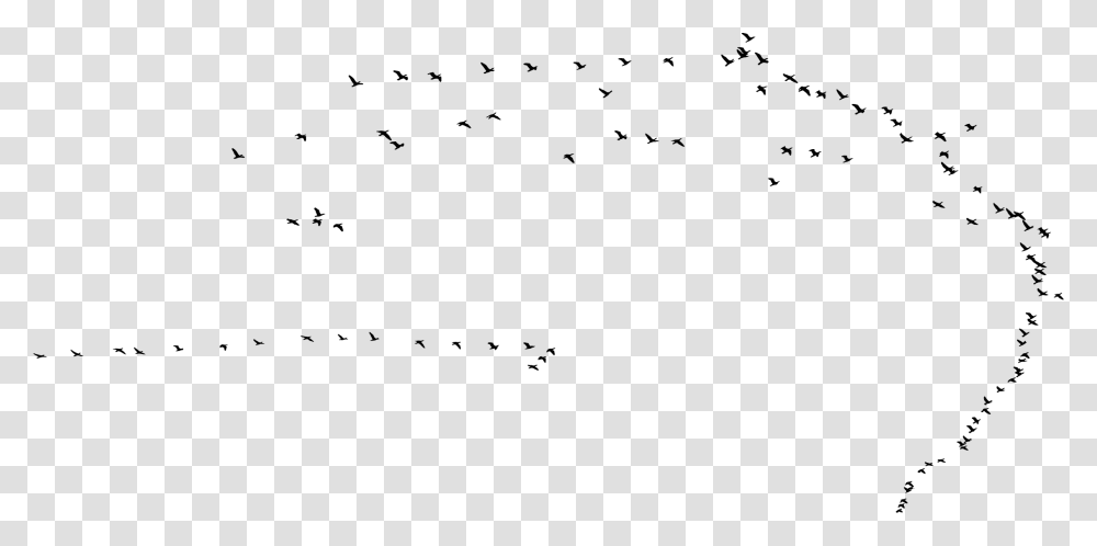 Flock, Gray, World Of Warcraft Transparent Png