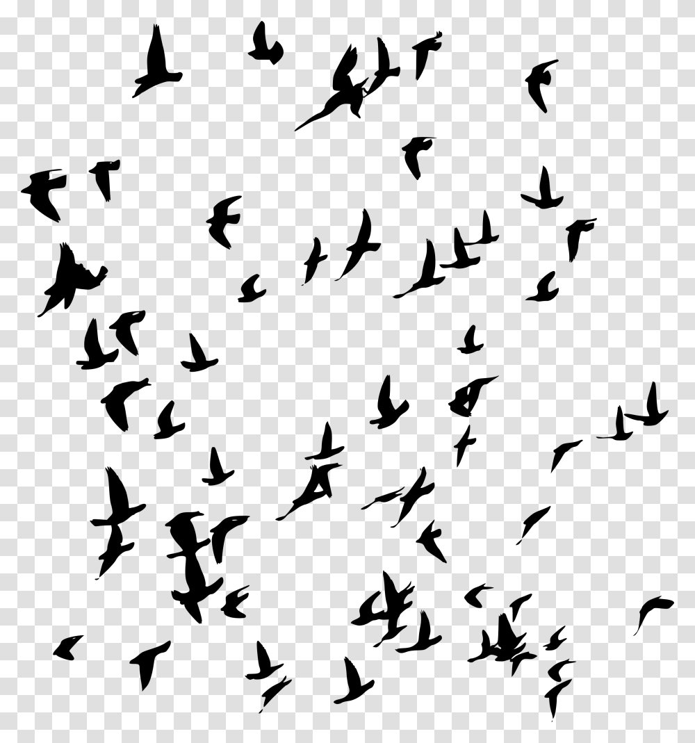 Flock, Gray, World Of Warcraft Transparent Png