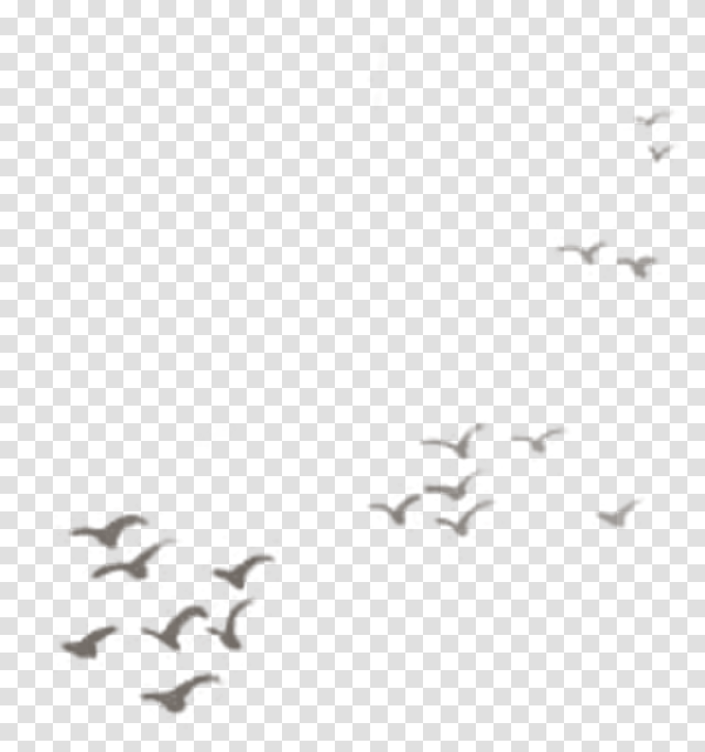 Flock, Nature, Outdoors, Astronomy, Jigsaw Puzzle Transparent Png