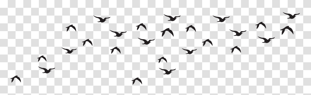 Flock Of Birds Clipart, Gray, World Of Warcraft Transparent Png