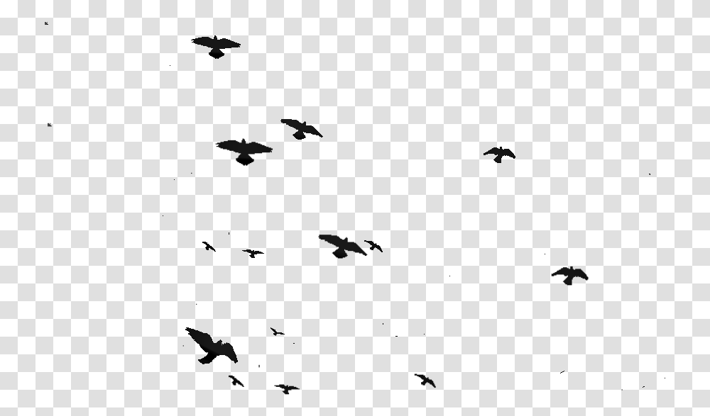 Flock Of Birds Silhouette Flock, Nature, Outdoors, Night, Moon Transparent Png