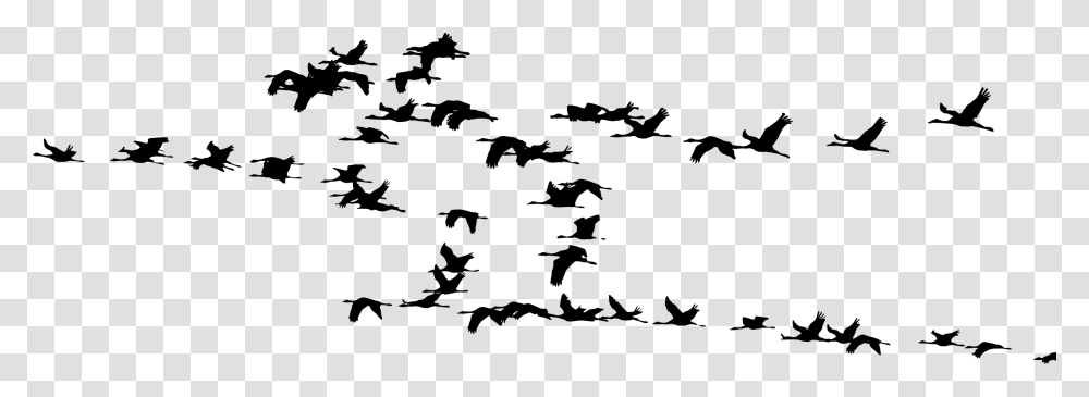 Flock Of Cranes Silhouette Clip Arts Flock Of Cranes Silhouette, Gray, World Of Warcraft Transparent Png