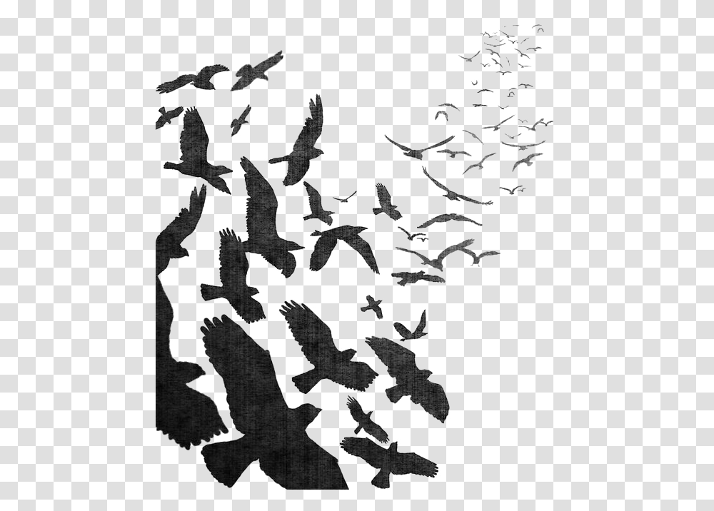 Flock Of Crow Flock Of Birds Flying, Animal, Silhouette, Stencil Transparent Png