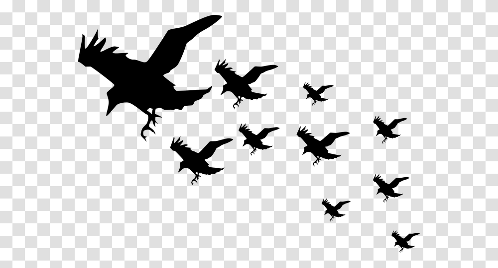 Flock Of Crows Clipart, Gray, World Of Warcraft Transparent Png