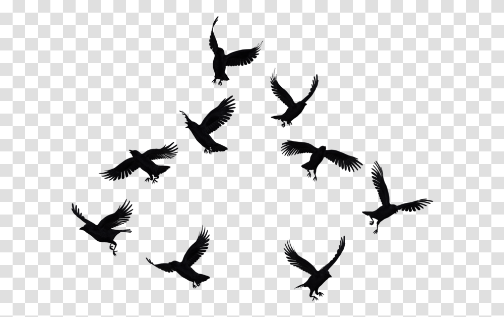 Flock Of Crows, Silhouette, Flying, Bird, Animal Transparent Png