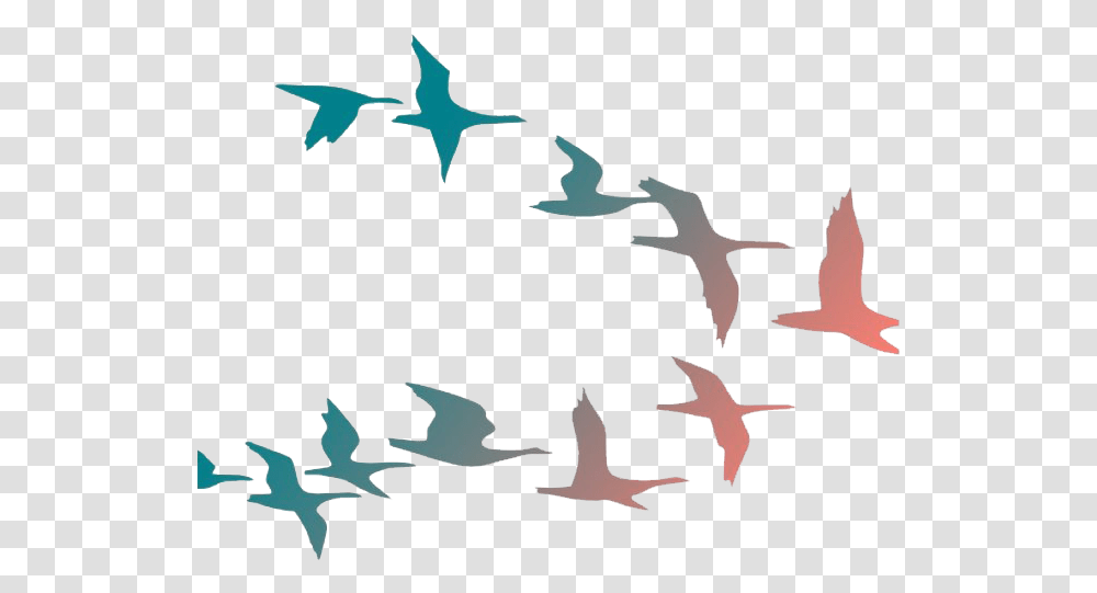 Flock Of Flying Bird Image Birds Flying Clipart Background, Animal, Silhouette, Leaf, Plant Transparent Png
