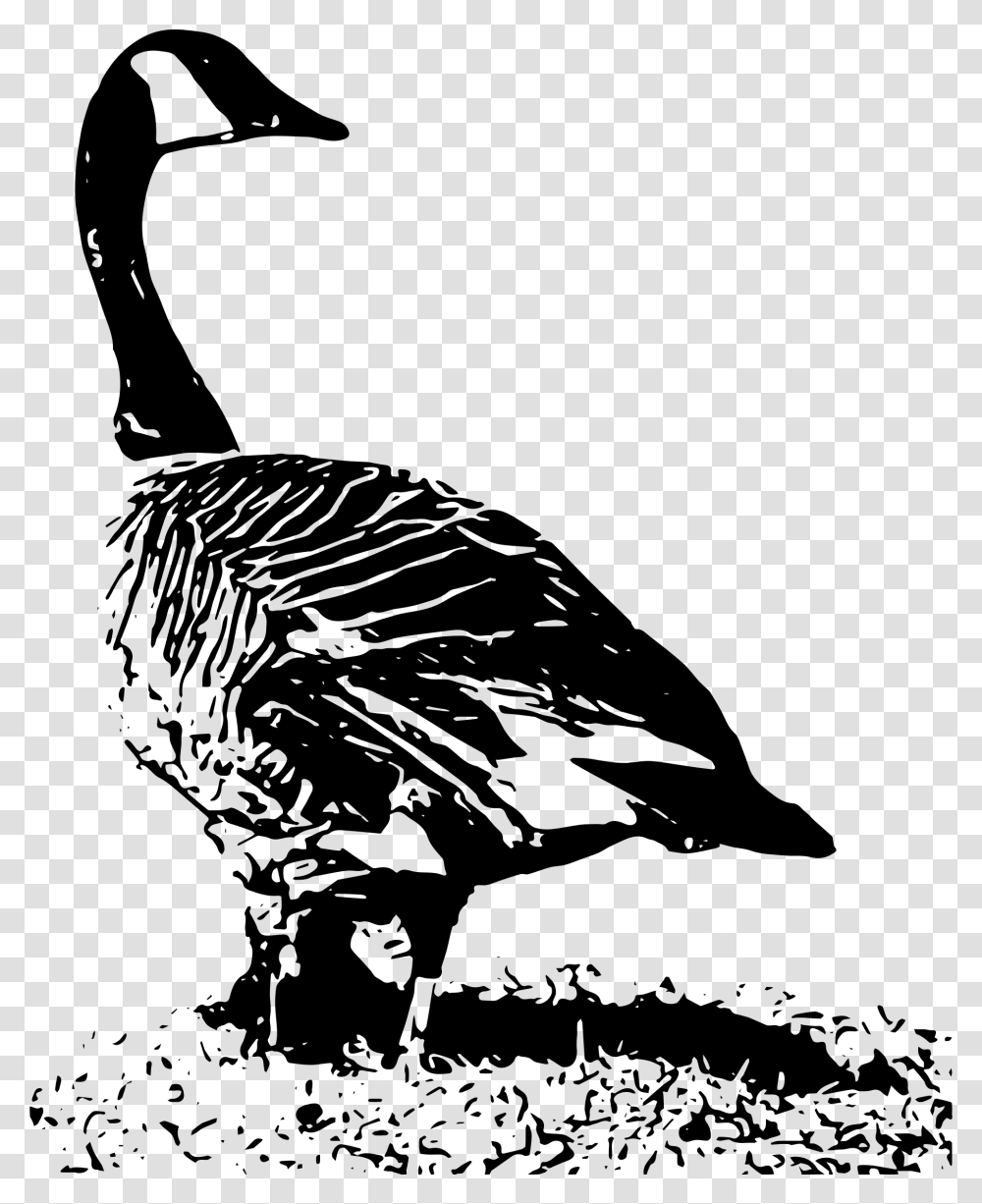 Flock Of Geese Clipart Black And White Canada Goose Nest, Gray, World Of Warcraft Transparent Png