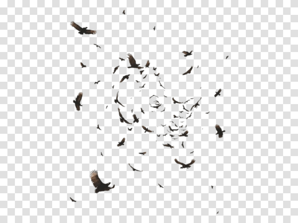 Flock Of Ravens Flying, Paper, Bird, Animal, Confetti Transparent Png