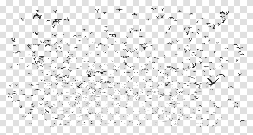 Flockbird Migrationanimal Migration Bird, Gray, World Of Warcraft Transparent Png