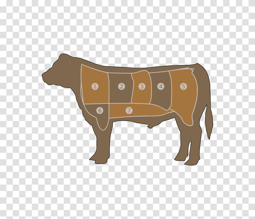 Flomar Beef Chart, Animals, Bull, Mammal, Gun Transparent Png