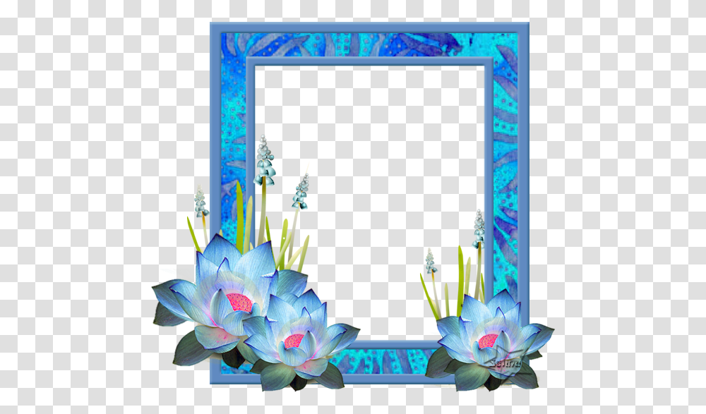 Flor De Loto Beauty, Plant, Flower, Floral Design, Pattern Transparent Png