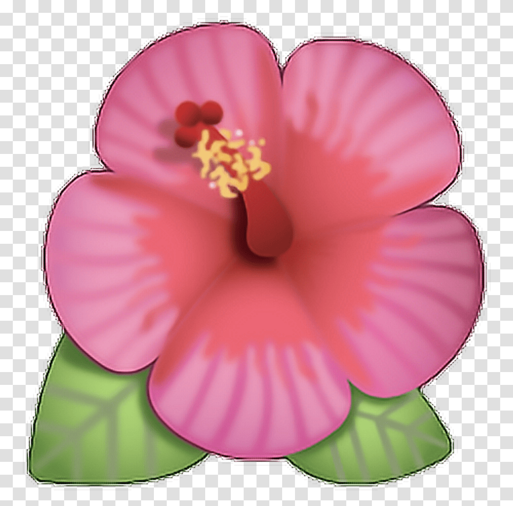 Flor Emoji Rosa Ed Cute Flower Cool Love, Plant, Hibiscus, Blossom, Anther Transparent Png