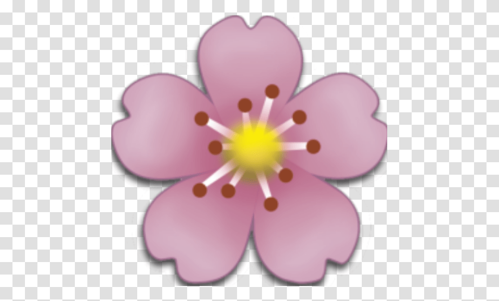 Flor Flower Emoji Overlay Edit, Plant, Blossom, Pollen, Anther Transparent Png