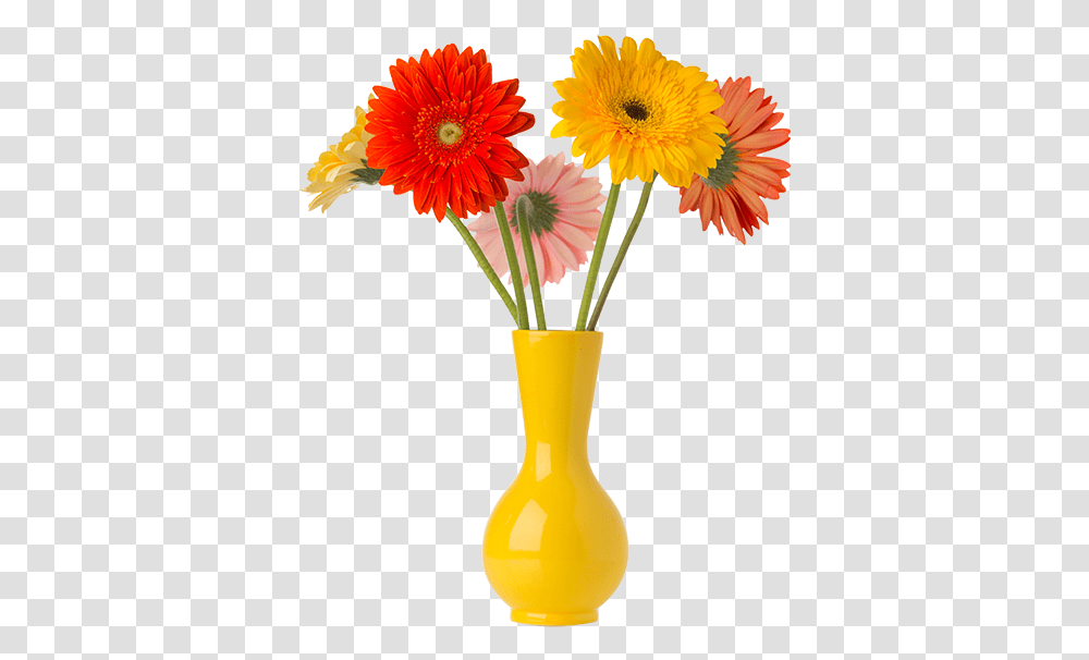 Flor Flower Vase, Plant, Blossom, Flower Arrangement, Jar Transparent Png